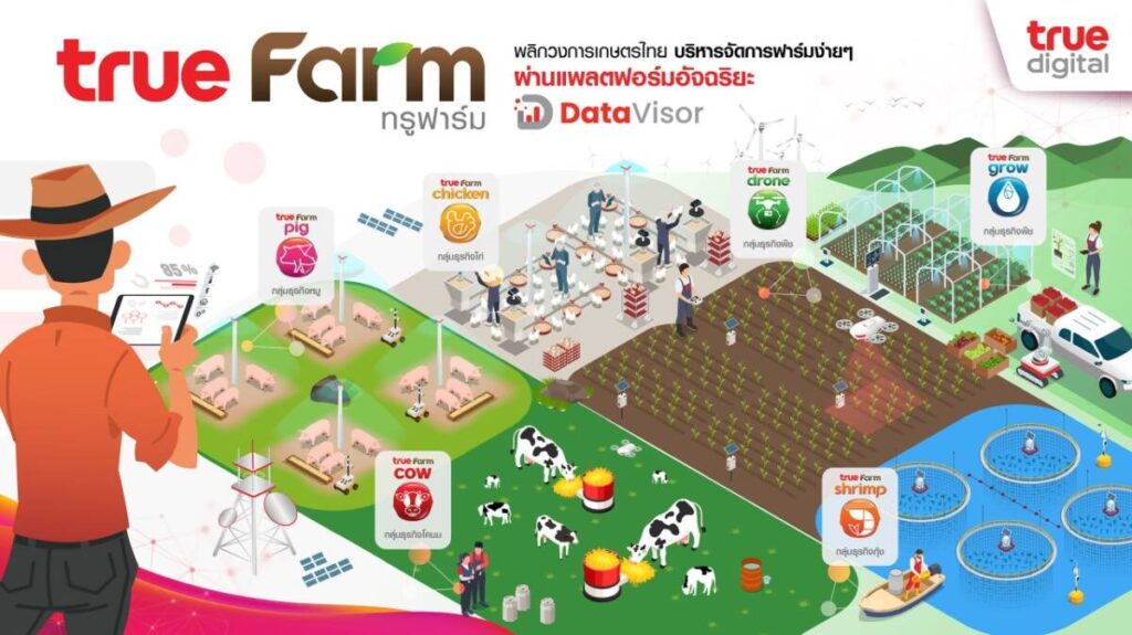 “True Farm” เทคโนโลยีการเกษตร ชูนวัตกรรม Precision Farming พร้อมวิเคราะห์ข้อมูลเชิงลึก