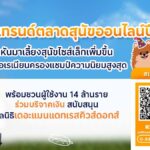 Kaidee เผยเทรนด์ตลาดสุนัขออนไลน์ พบ "ปอมเมอเรเนียน" ครองใจคนไทย