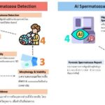 กทปส. หนุน ม.มหิดล นำ “AI” ตรวจพิสูจน์ คดีความผิดทางเพศ ช่วยทำงานเร็วกว่าคนถึง 5.7 เท่า