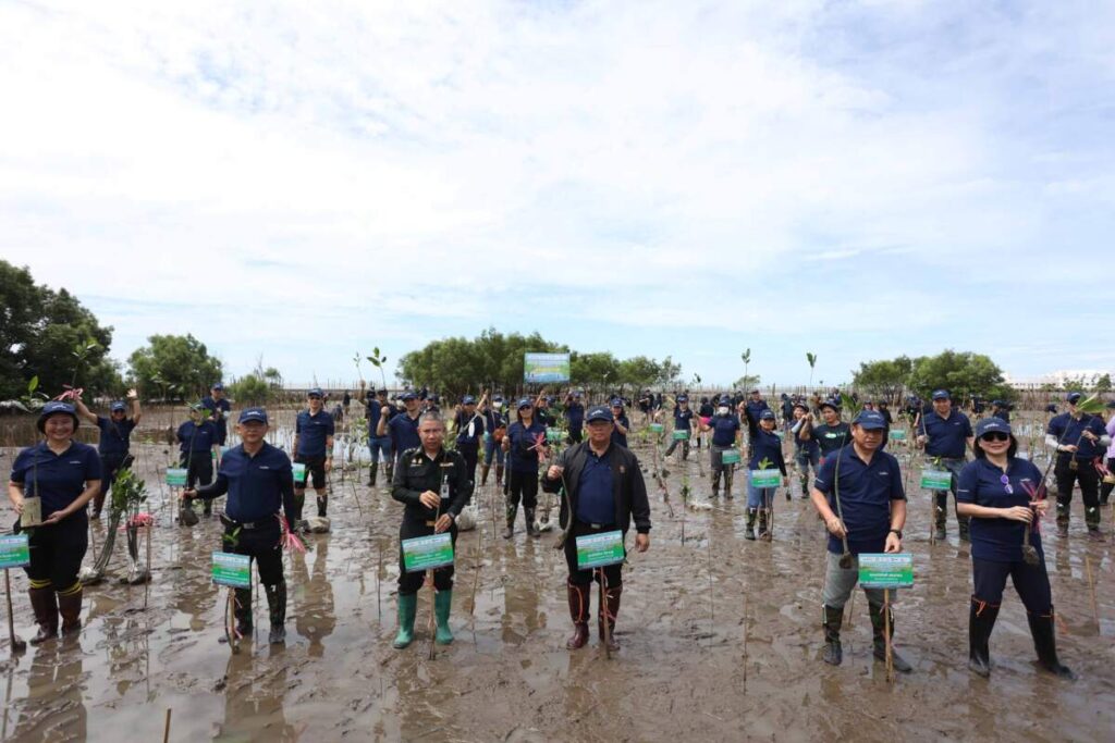 ซีพีแรม (ลาดกระบัง) ลุยปลูกป่าตามแนวชายฝั่งกว่า 20,000 ต้น หวังเพิ่มพื้นที่ป่าชายเลน และลดโลกร้อนอย่างต่อเนื่อง