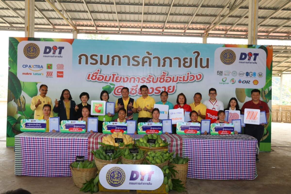 กรมการค้าภายใน พาผู้ประกอบการรับซื้อมะม่วงเชียงราย เตรียมรับมือช่วงผลิตออกสู่ตลาดมาก