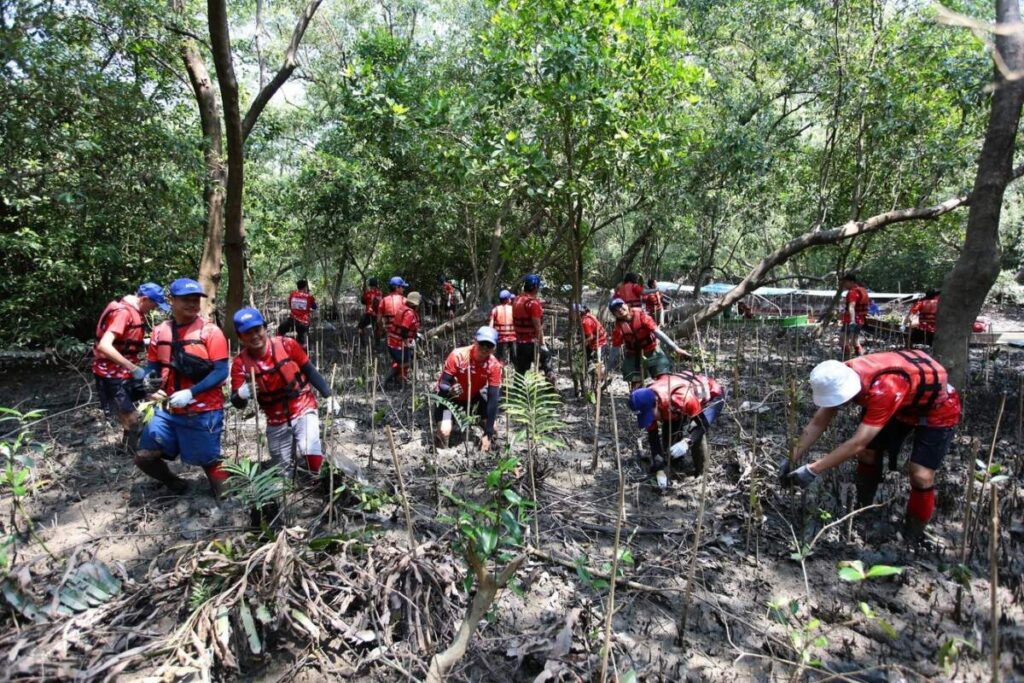 Canon Volunteer ครั้งที่ 37 ลงพื้นที่ปลูกป่าชายเลน 1,000 ต้น และปล่อยพันธุ์ปู ณ ศูนย์อนุรักษ์ป่าชายเลนคลองโคน จ. สมุทรสงคราม