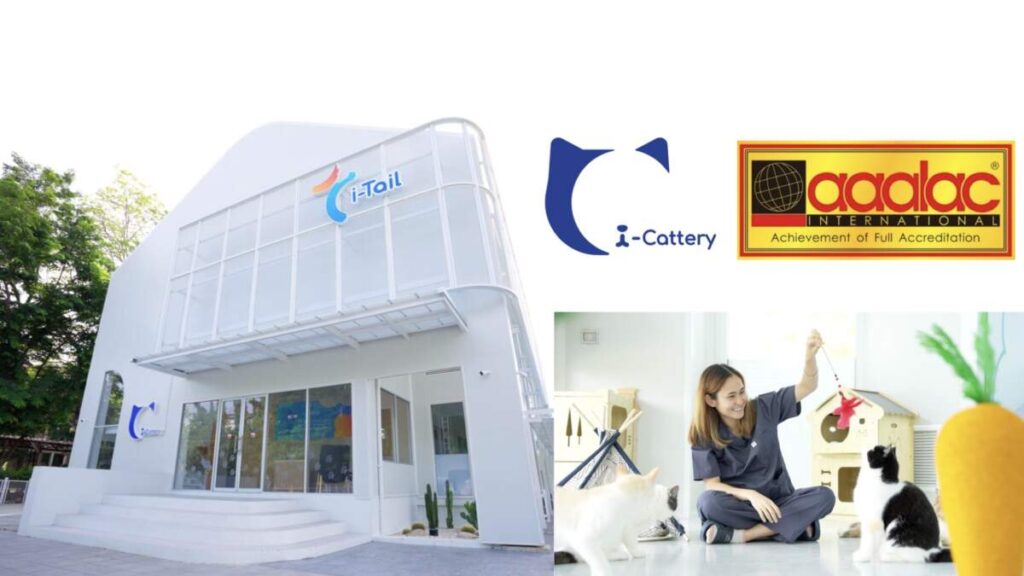 ศูนย์วิจัยอาหารแมว i-Cattery ก้าวสู่ความสำเร็จ เป็นบริษัทเอกชนรายแรกในไทย ที่ได้รับการรับรองจาก AAALAC International