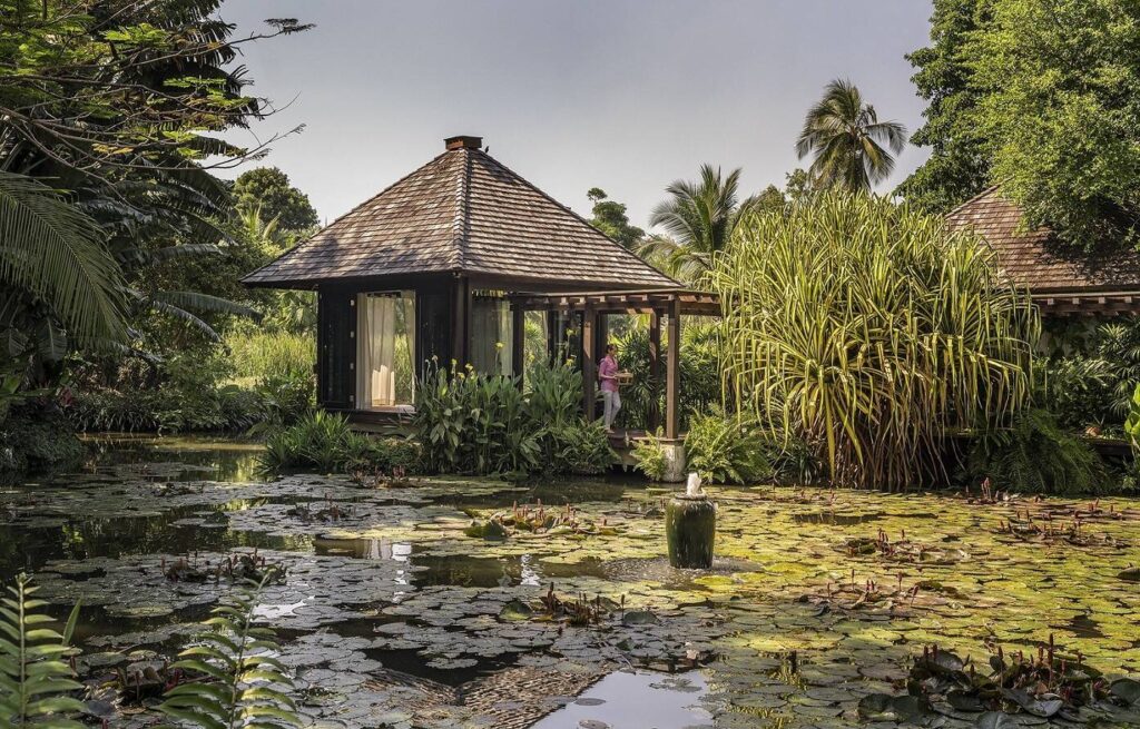 "The White Lotus" ปลุกกระแสท่องเที่ยวไทย! โรงแรมหรูเครืออนันตราโกยยอดจองถล่มทลาย เว็บไซต์เข้าชมทะยานกว่า 104% ในเดือนเดียว